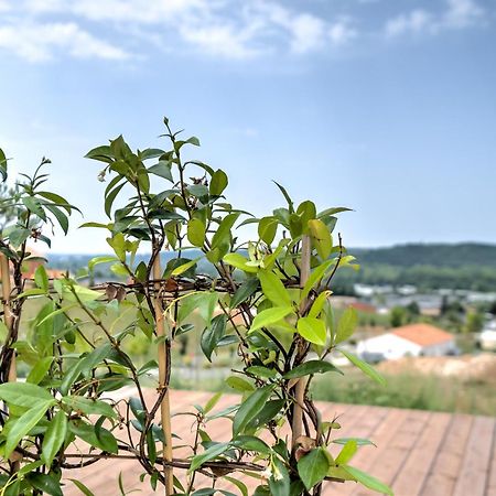 L'Elegante Confort, Clim & Vue Imprenable Bassillac Exterior photo